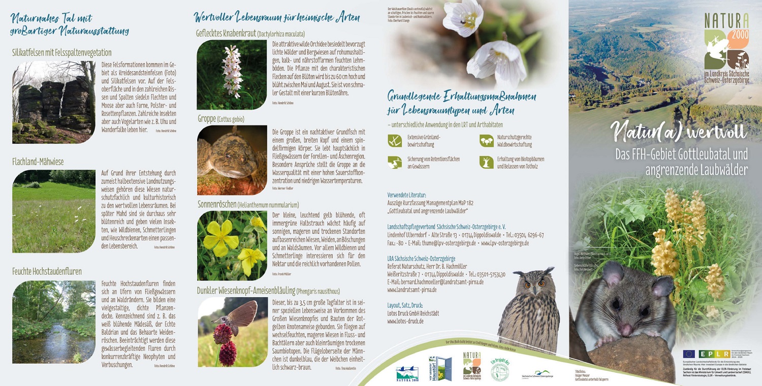 tl_files/downloads/Bilder Projekte/Projektstellen/Natura 2000 2.0/Flyer/Gebietsflyer_Gottleubatal_1.jpg